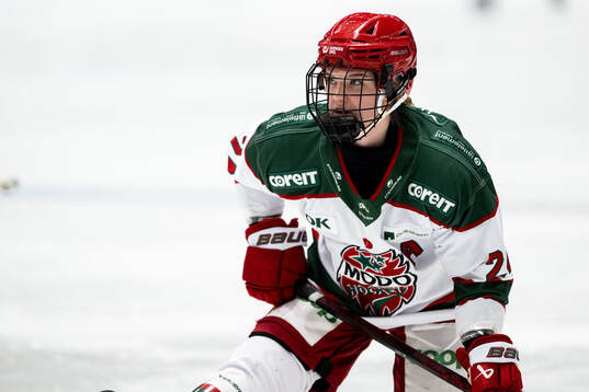 Modos Ebba Hedqvist