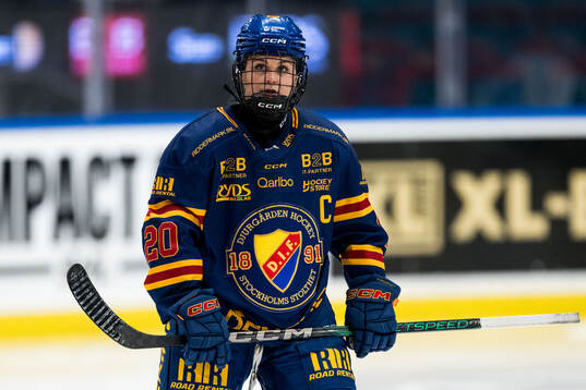 Djurgårdens Brette Pettet