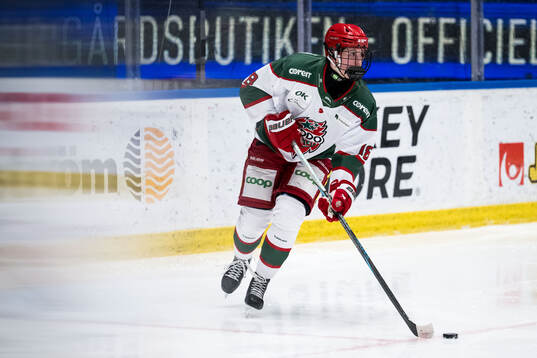 Modos Elsa Åberg
