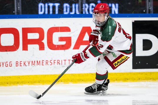 Modos Ebba Berglund