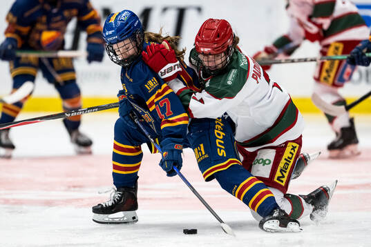 Bläddra bland fler bilder av Ishockey, SDHL, Djurgården - Modo