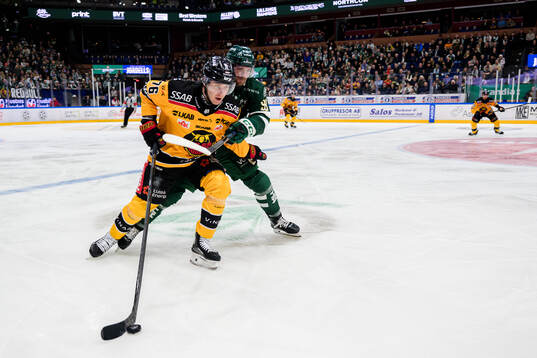 Bläddra bland fler bilder av Ishockey, SHL, Färjestad - Luleå