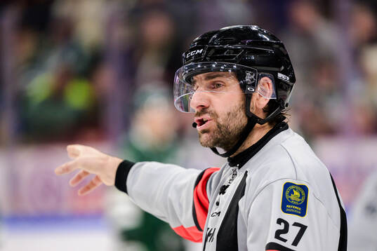 domare Mikael Sjöqvist