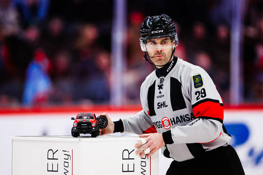 Domare Richard Magnusson