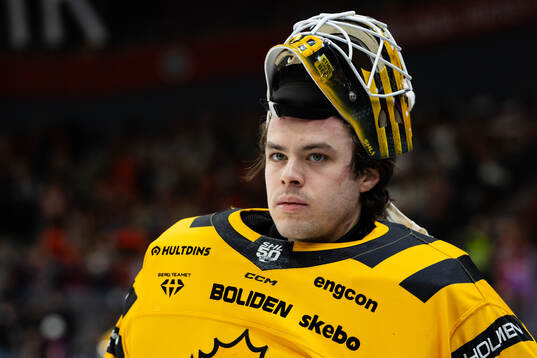 Skellefteås målvakt Strauss Mann