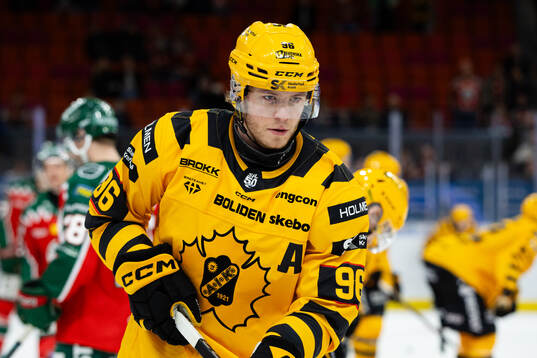 Skellefteås Rickard Hugg