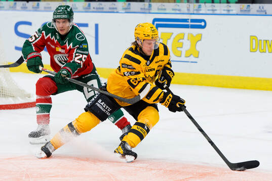 Frölundas Arttu Ruotsalainen och Skellefteås Jonathan