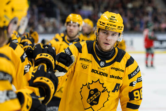 Skellefteås Rickard Hugg jublar