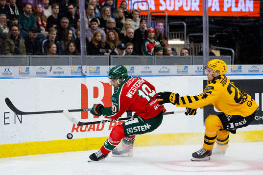 Frölundas Max Westergård och Skellefteås Pontus Johansson