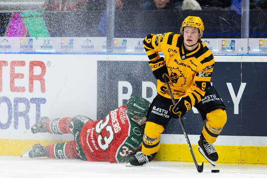 Frölundas Linus Högberg och Skellefteås Victor Stjernborg