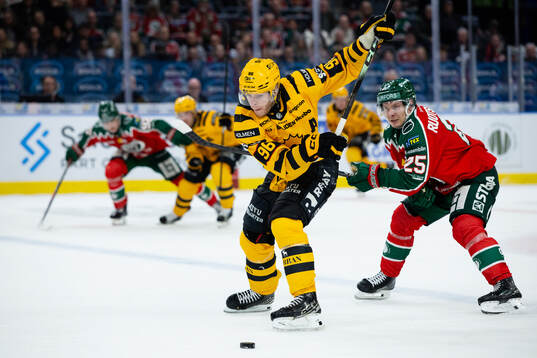 Skellefteås Rickard Hugg