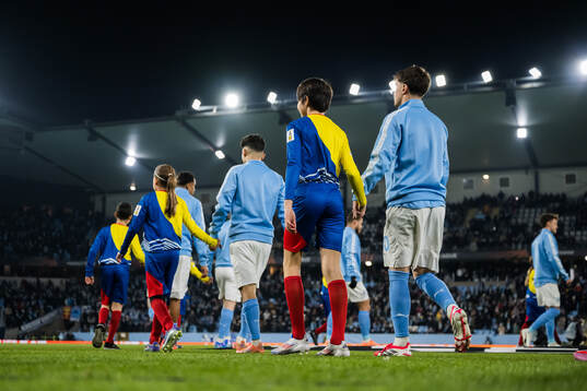 Kenan Busuladzic of Malmö FF