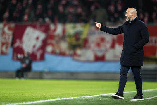 coach Dejan Stankovic of Crvena Zvezda