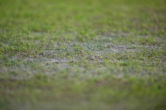 Quality of the grass at Brann Stadion