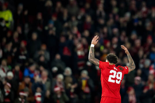 Noah Holm of Brann celebrates