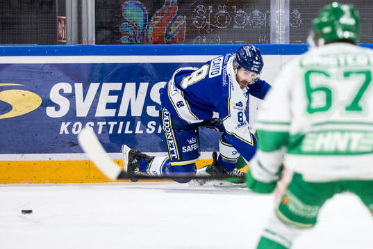Leksands Matt Caito