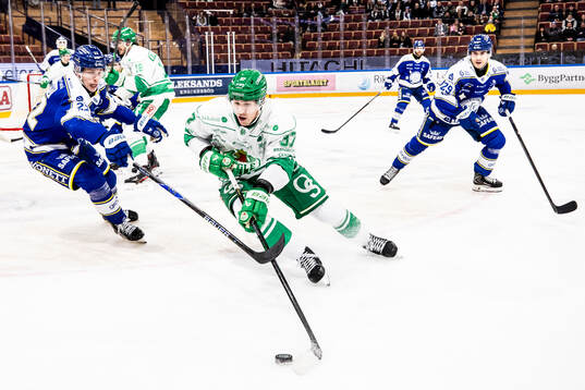 Leksands Lukas Vejdemo och Rögles Albin Sundsvik
