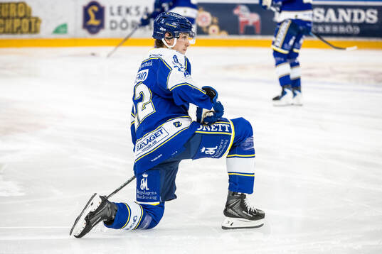 Leksands Lukas Vejdemo
