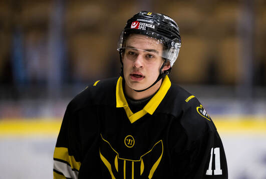 Västerås Alvin Wengrud