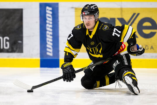 Västerås Oscar Birgersson