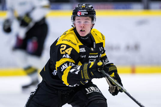 Under ishockeymatchen i Hockeyallsvenskan mellan Västerås