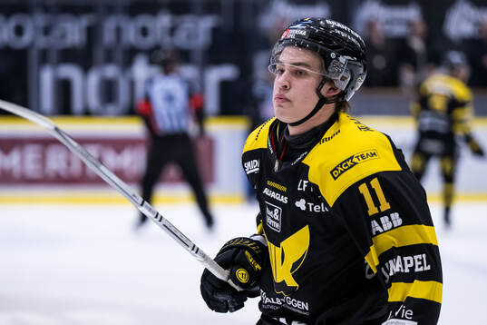 Västerås Alvin Wengrud
