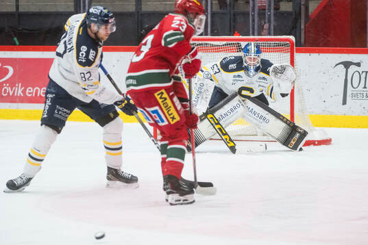 Södertäljes målvakt Niclas Westerholm