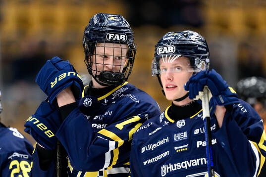 HV71s Malte Gustafsson och Karl Annborn