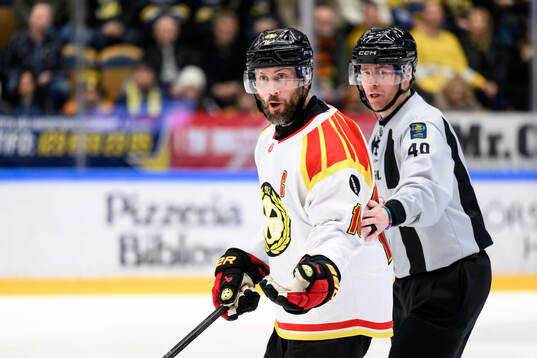 Brynäs Johan Larsson reagerar på ett domslut