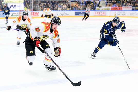 Brynäs Lucas Pettersson