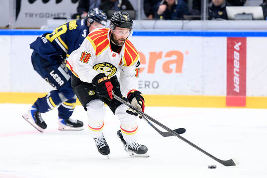 Brynäs Johan Larsson