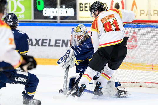 HV71s målvakt Felix Sandström