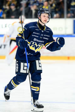 HV71s Hugo Pettersson jublar