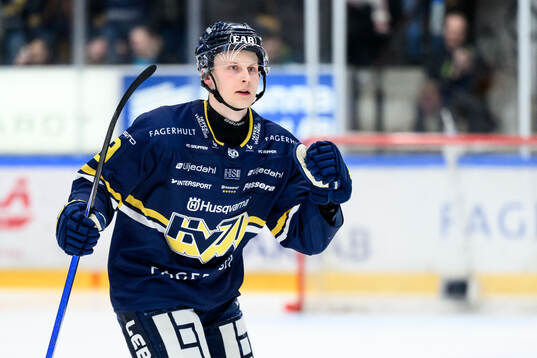 HV71s Hugo Pettersson jublar
