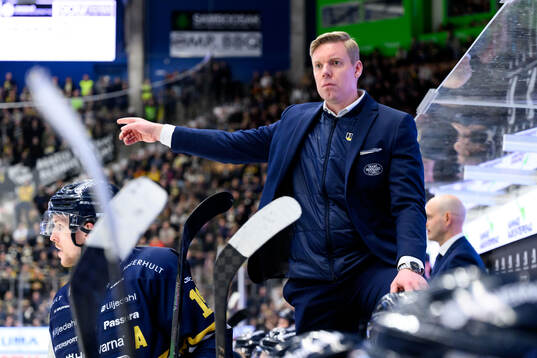 HV71s tränare Anton Blomqvist