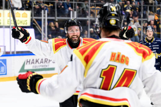 Brynäs Johan Larsson jublar