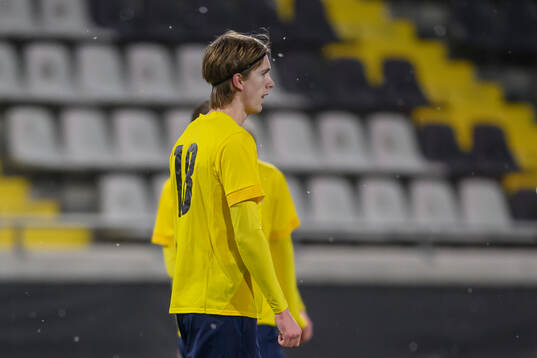 Ljungskiles David Frisk