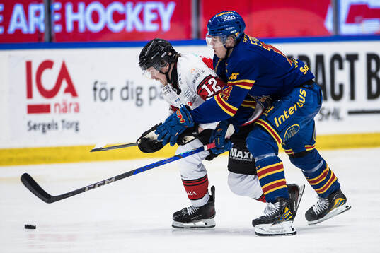 Malmö Redhawks Linus Öberg och Djurgårdens Anton Frondell