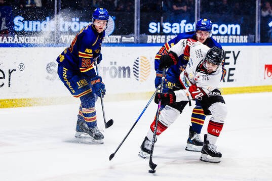 Malmö Redhawks Robin Hanzl