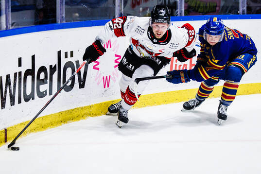 Malmö Redhawks Robin Salo och Djurgårdens Joseph Snively