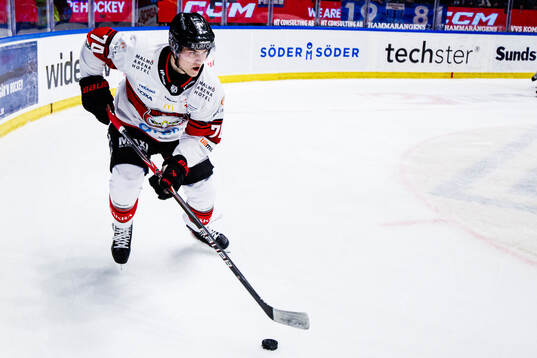 Malmö Redhawks Felix Carell