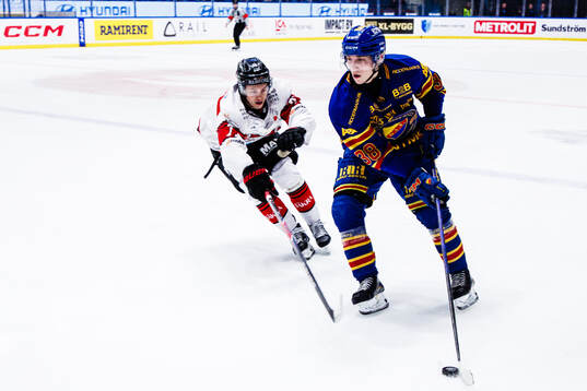 Malmö Redhawks Topi Niemelä och Djurgårdens Victor