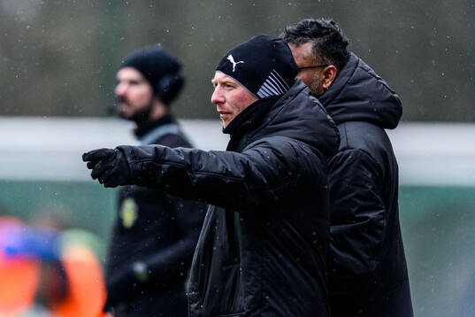 Helsingborgs manager Stevie Grieve