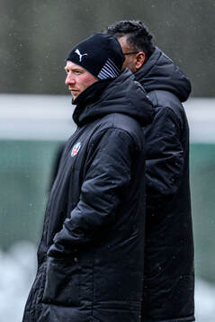 Helsingborgs manager Stevie Grieve