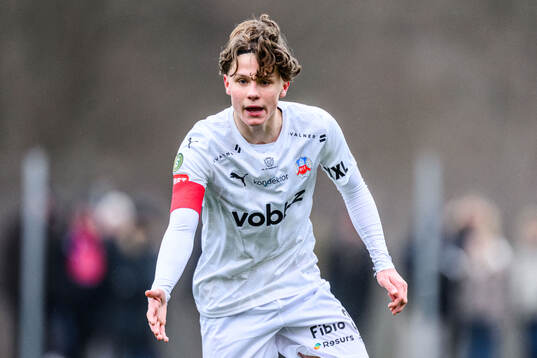 Helsingborgs Lucas Landgren Persson