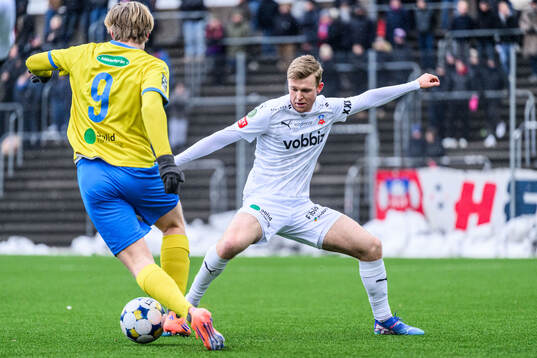 Helsingborgs William Westerlund
