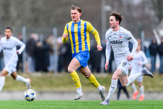 Helsingborgs Alexander Johansson