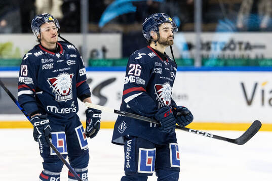 Linköpings Jakub Vrana och Max Martin deppar