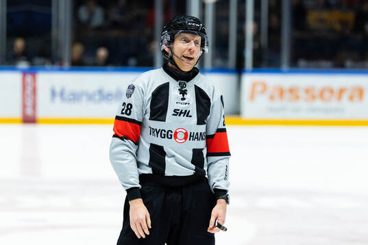 Domare Mikael Holm