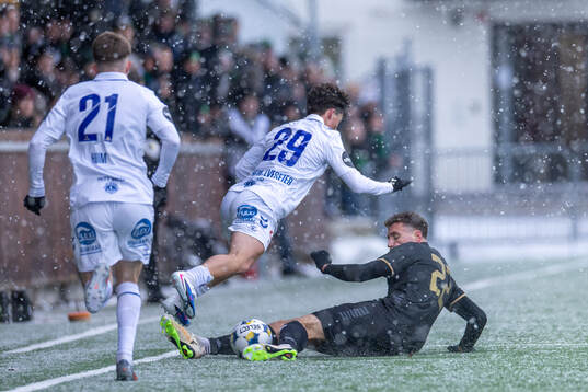 GAIS Anes Cardaklija